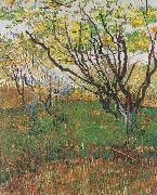 Vincent Van Gogh Flowering Orchard oil